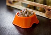 Feed Your Old Dog with Grain-Free Canned Dog Food for Good Health Canned Dog Food