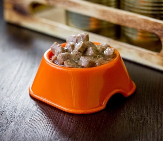 Feed Your Old Dog with Grain-Free Canned Dog Food for Good Health Canned Dog Food