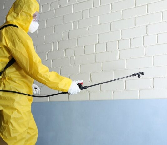 How to Find Real Wixom Pest Control? Pest Control
