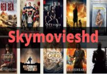 SkyMoviesHD 2025: Best SkyMoviesHD Alternatives Skymovieshd