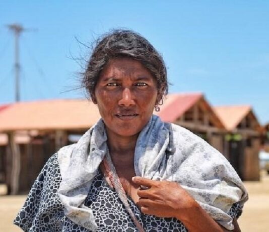 Health Concerns Facing the Native American Population Abuse