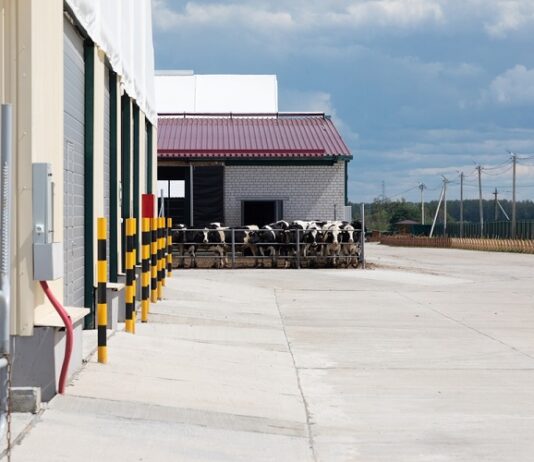 Why Is Steel Preferred For Building A Farm? farm buildings