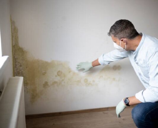 What Are the Different Types of Mold That Grows in Homes Today? Grows in Homes Today