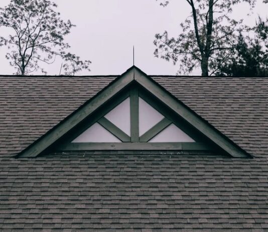 3 Sneaky Signs of Roof Rats Roof