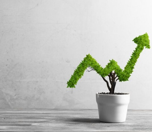 Leveraging Immigrant Labour: The Unseen Catalyst for Business Growth Business Growth