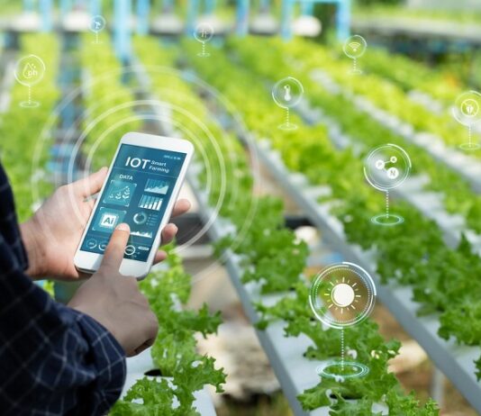 Why Smart Farms Are Changing the Way We Feed the World farming connectivity